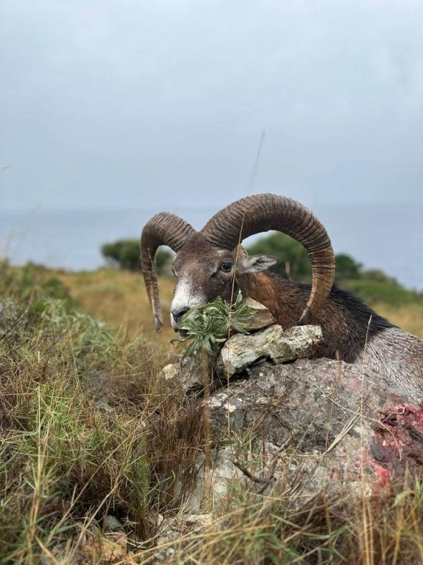 wta_2222_4c98aac0-19f5-4e22-9bb9-052cdae410ce