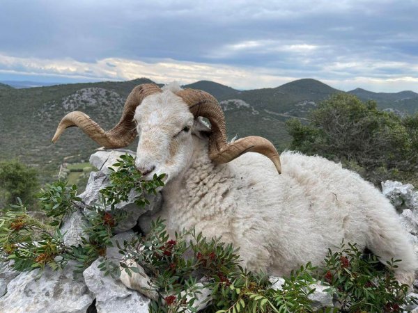 wta_2222_50f7a5aa-e699-4a0c-b53d-f8ed5159dab6