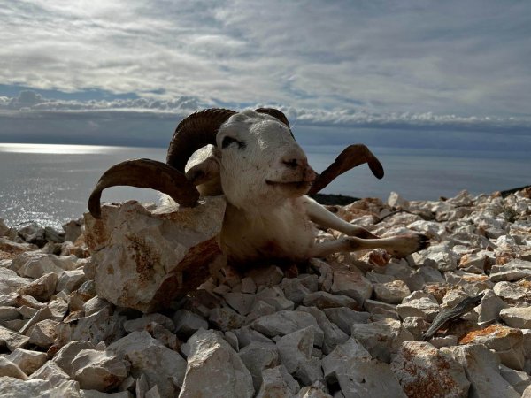 wta_2222_620fbad5-96ed-4b3f-ac41-6b6395518531