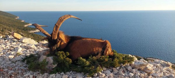 wta_2222_6bf8bff2-819a-4f2d-811b-ab7d0080a016