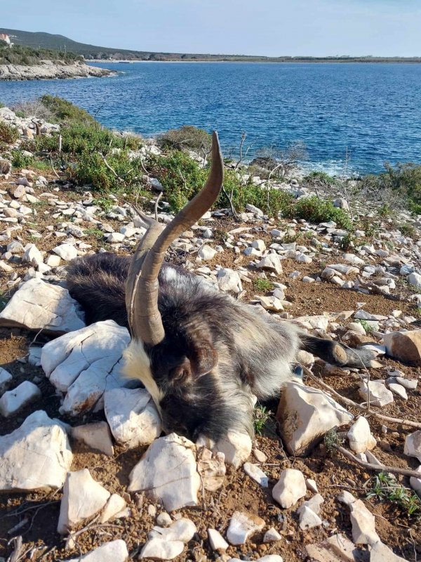 wta_2222_82932ccb-f760-45bb-933f-c1092fc09fed