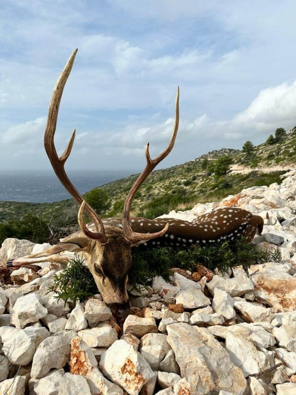 wta_2222_PHOTO-2023-10-19-13-54-02