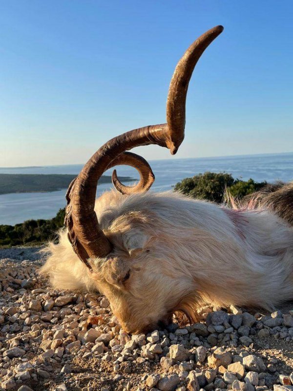 wta_2222_WhatsApp Image 2022-12-17 at 10.53.12 (12)