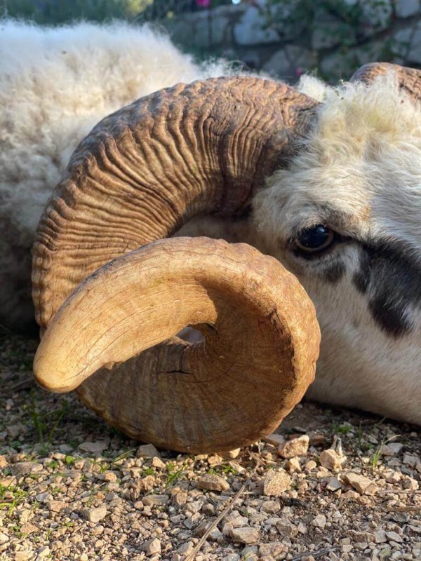 wta_2222_WhatsApp Image 2022-12-17 at 10.53.12 (15)