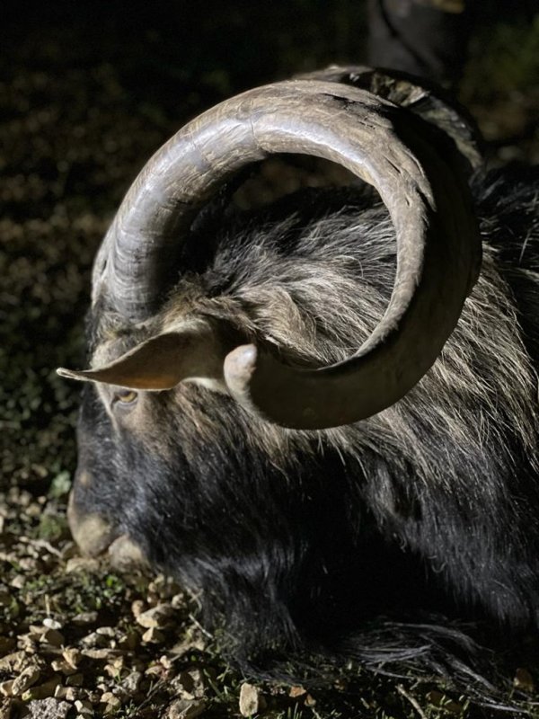 wta_2222_WhatsApp Image 2022-12-17 at 10.53.12 (16)