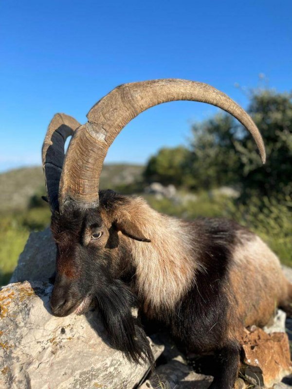 wta_2222_WhatsApp Image 2022-12-17 at 10.53.55 (3)