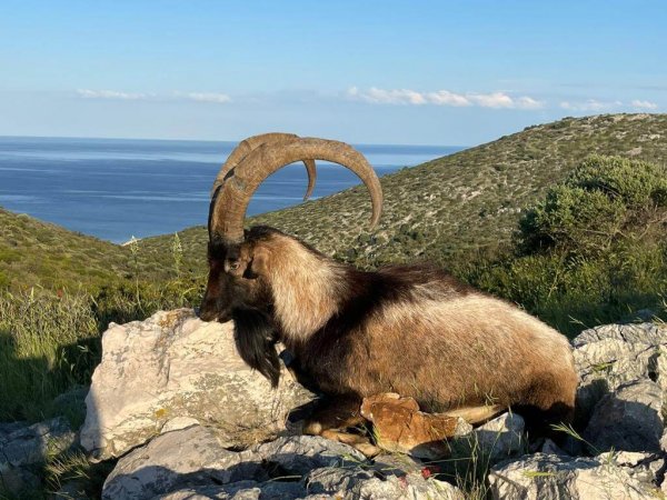 wta_2222_WhatsApp Image 2022-12-17 at 10.53.55 (4)