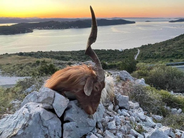 wta_2222_WhatsApp Image 2022-12-17 at 10.53.55 (6)