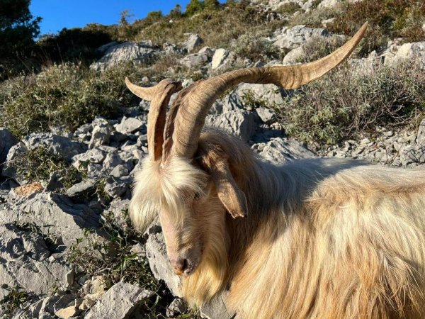 wta_2222_WhatsApp Image 2022-12-17 at 12.17.58