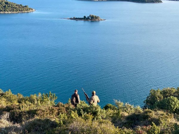 wta_2222_WhatsApp Image 2022-12-17 at 12.19.53