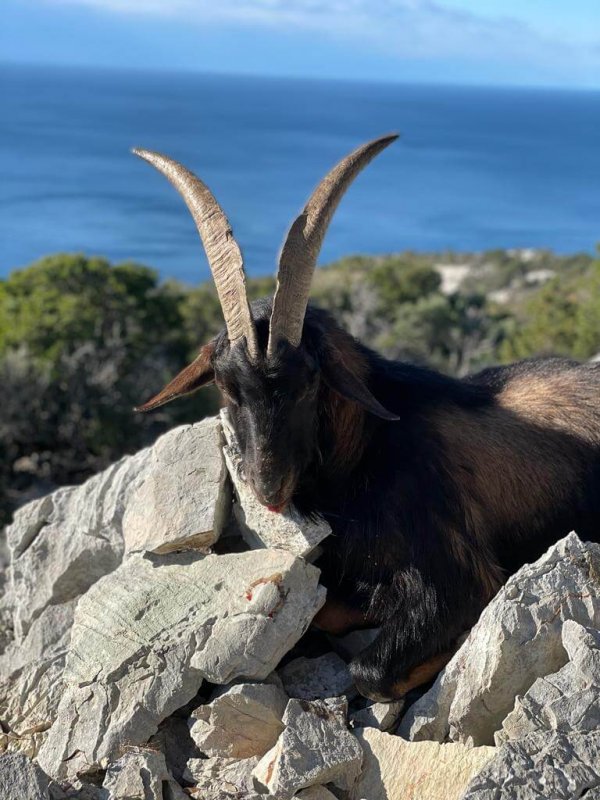 wta_2222_WhatsApp Image 2022-12-17 at 12.20.16