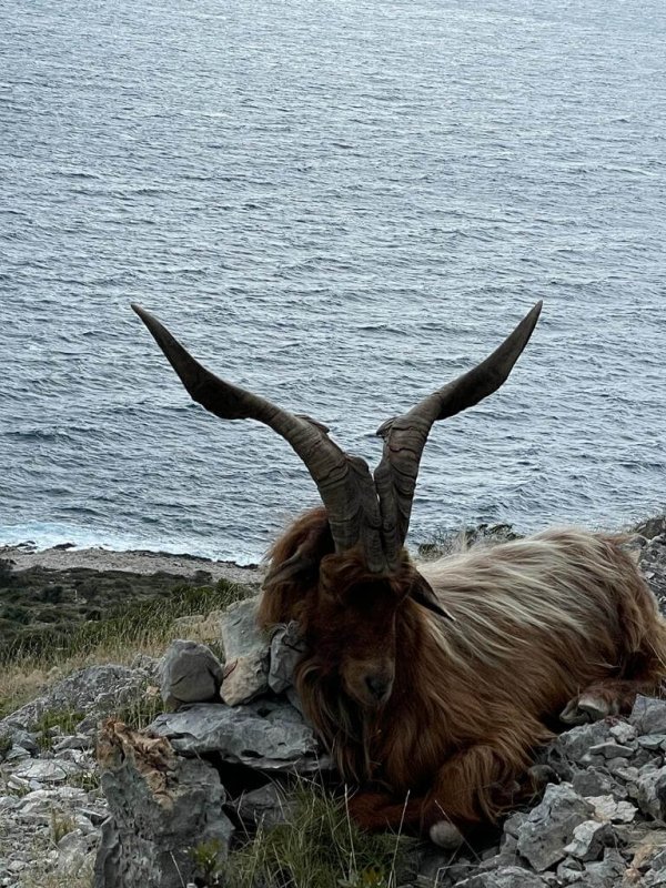 wta_2222_WhatsApp Image 2022-12-17 at 12.21.28