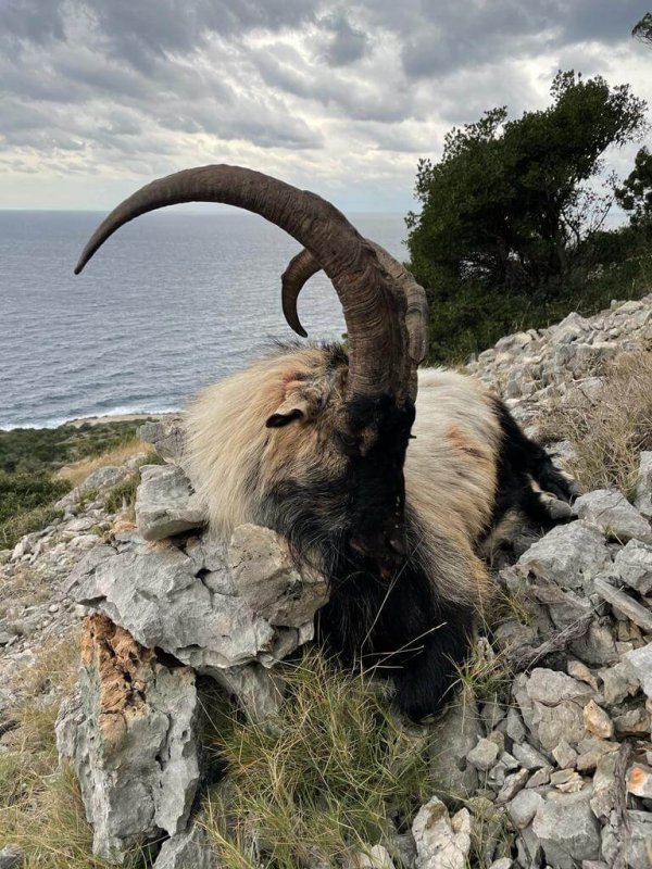 wta_2222_WhatsApp Image 2022-12-17 at 12.21.42