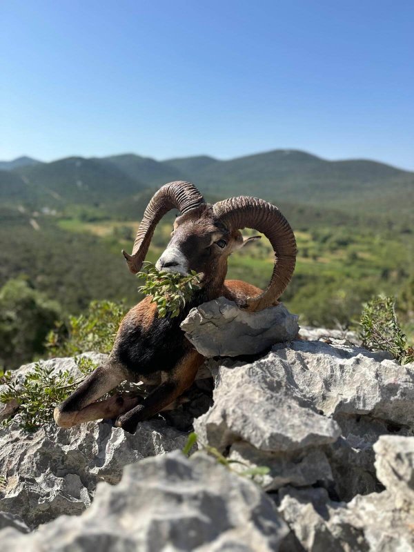 wta_2222_WhatsApp Image 2024-07-09 at 15.52.00 (3)