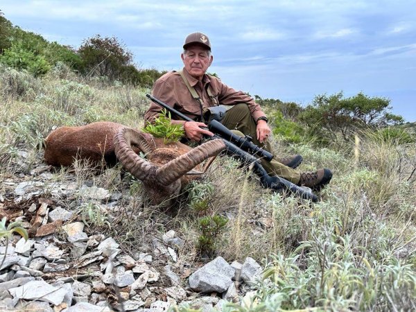 wta_2222_b0a74d26-8cf1-48f0-9fe9-4390ec74de74