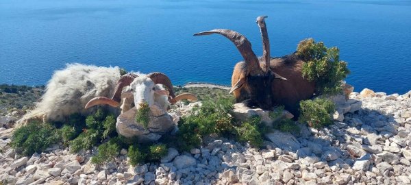 wta_2222_b8405318-7ef6-46b2-98b6-7a9a482ab67c