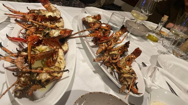 wta_2222_cb05bf5c-a8fe-4f5e-b1c8-29d7fdd59f11