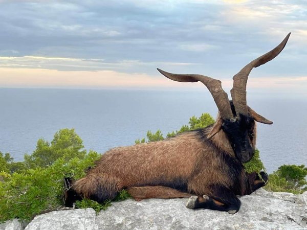 wta_2222_d0324ac9-2efa-4180-936f-7b5671bf3eab