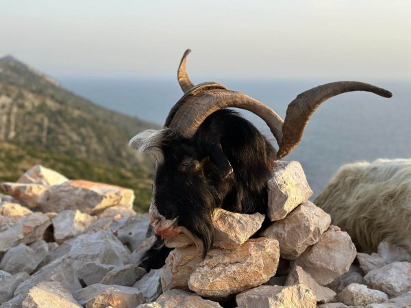 wta_2222_ecce003e-d6d9-4ac8-a8d1-7cb1c91a10f3