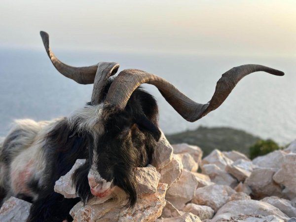 wta_2222_f3eaec72-6126-4f32-b494-a001973c6488