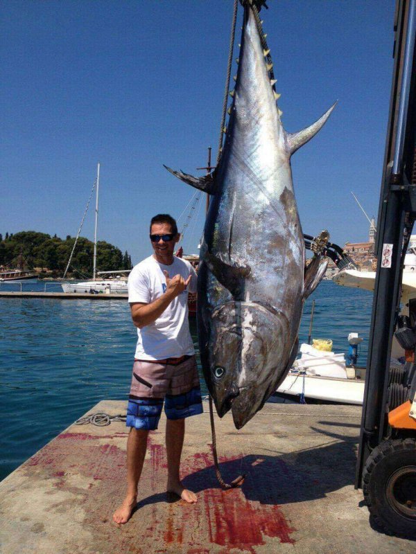 wta_2299_07d4be99-4d1a-4be9-ae7d-d57c550d8426