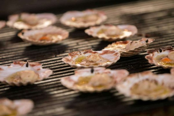 wta_2299_1bf6669c-3e82-486e-94a8-ff0fe307f7bd