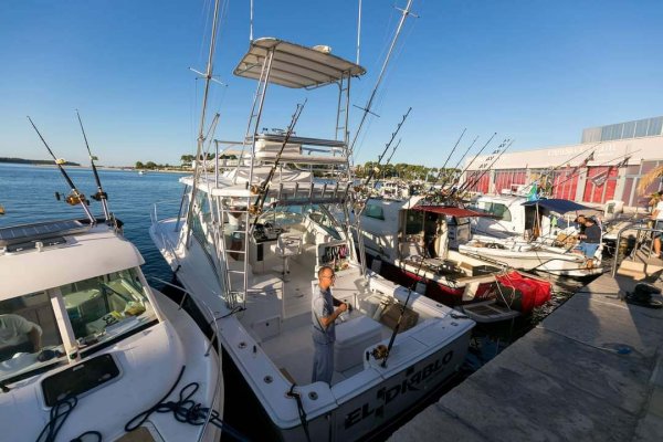 wta_2299_652f09ed-ea8b-40a8-a957-d3fd2ac691a7