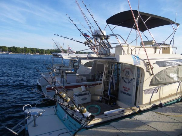 wta_2299_90538fef-0a89-4895-872e-53112eba4c76