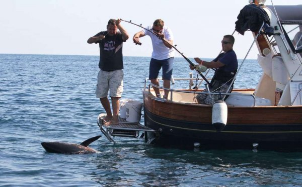 wta_2299_b3555ffb-454b-4fb5-9cdc-e5dc2aadbf6c