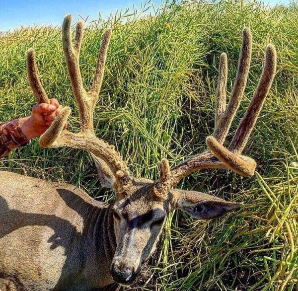 wta_2406_115782584_1499260456920362_1075785995113039316_n