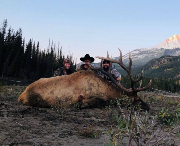 wta_2542_Bull 2019