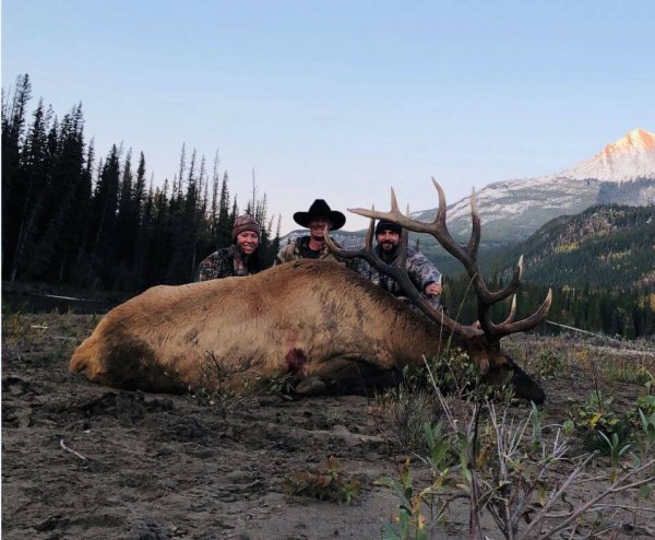 wta_2542_Bull 2019
