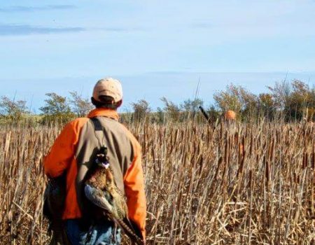 South Dakota Pheasant, Grouse & Prairie Chicken Hunting Outfitter