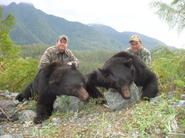 wta_542_CSN5GZ_268_bear15
