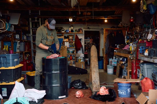 wta_588_082425-Grizzly-148