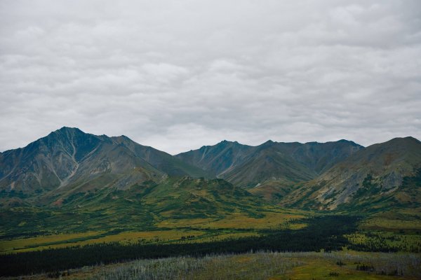 wta_588_082425-Grizzly-433