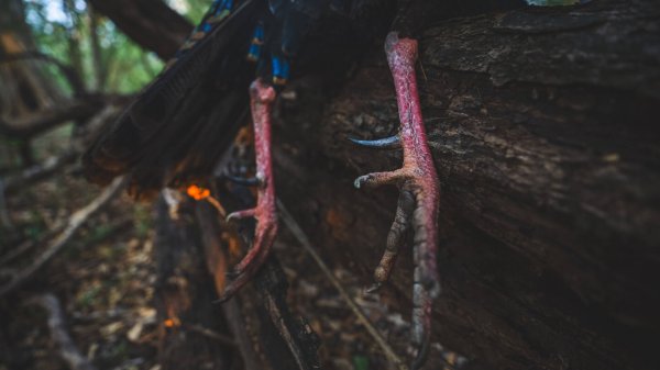 wta_752_Balam_Knox_ (27 of 42)