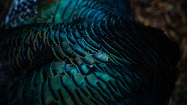 wta_752_Balam_Knox_ (29 of 42)