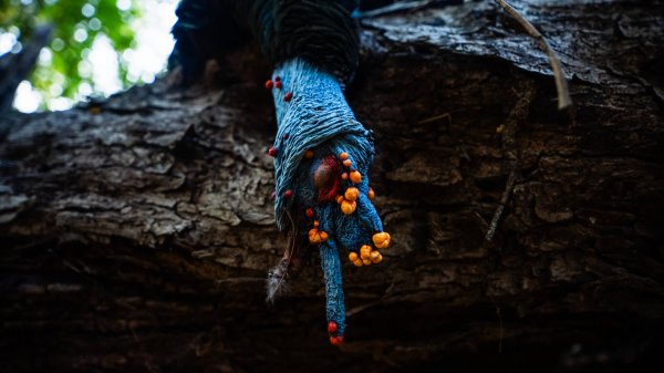 wta_752_Balam_Knox_ (33 of 42)