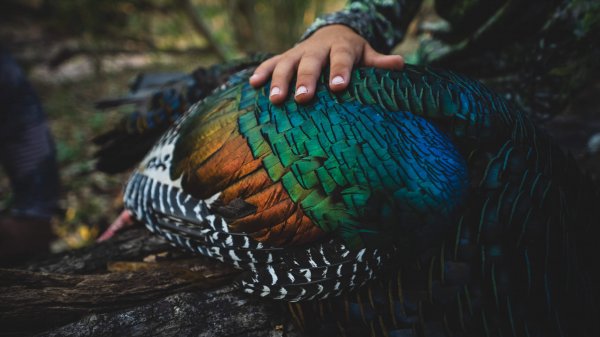 wta_752_Balam_Knox_ (36 of 42)