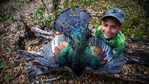 wta_752_Balam_Knox_ (41 of 42)