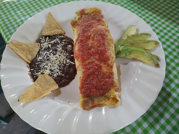 wta_752_IMG_20230503_092736810 (4)