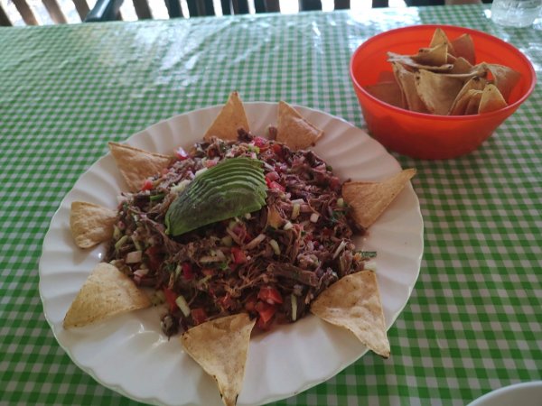 wta_752_IMG_20230503_133958219 (1)