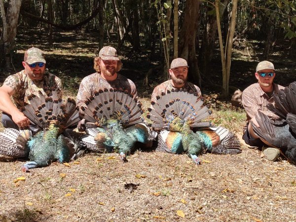 wta_752_IMG_20250319_105251696_HDR (2)