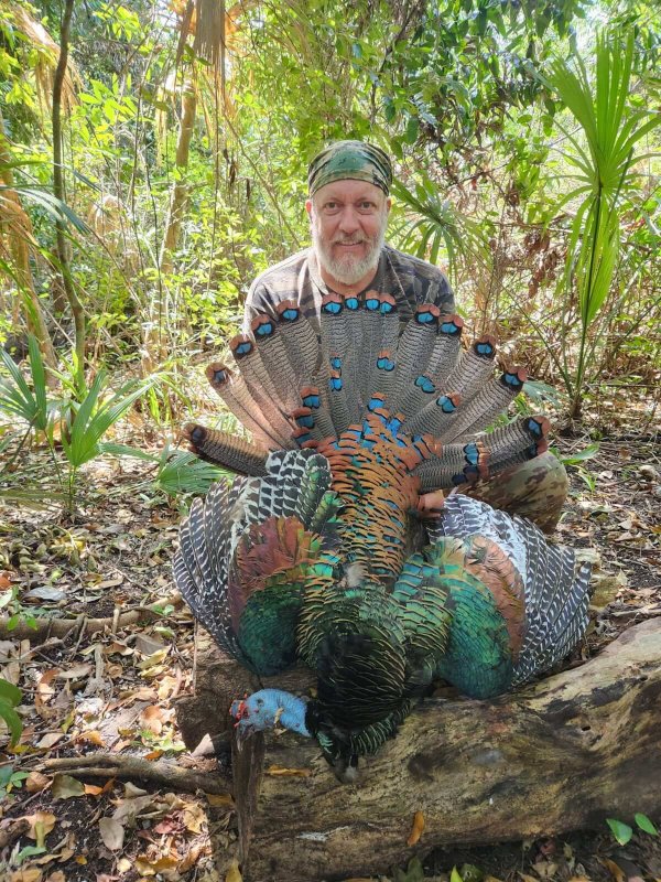 wta_752_image000000 (11)