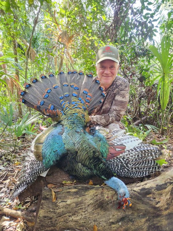 wta_752_image000000 (12)