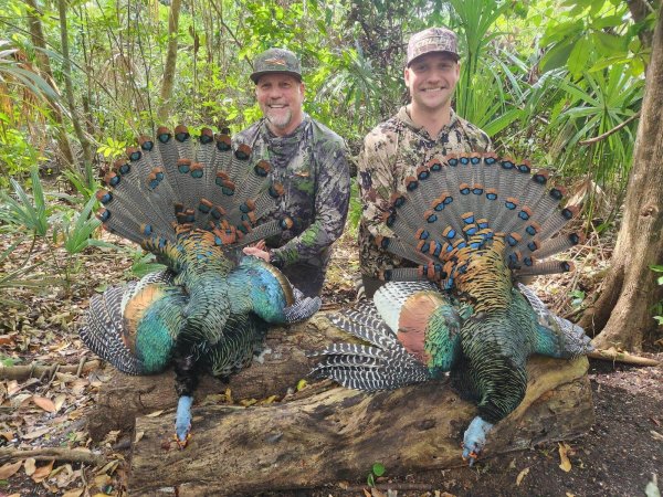 wta_752_image000000 (9)