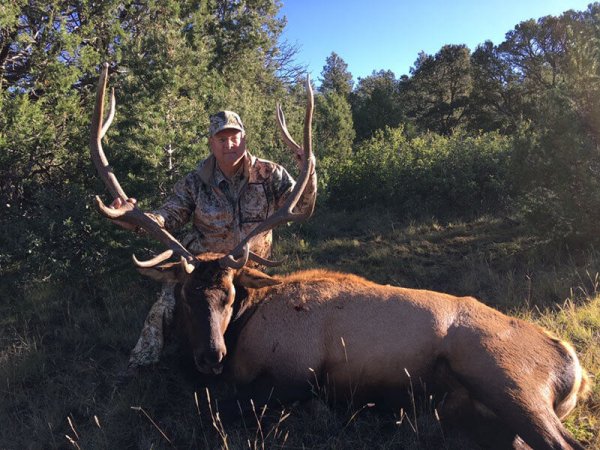 wta_972_2EZZWO_IMG_0795