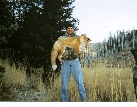 wta_Jason_Campbell_4H37IB_Jason_TrophyPics(37)