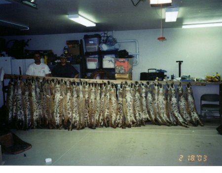 wta_Jason_Campbell_4KIKGM_Jason_TrophyPics(38)